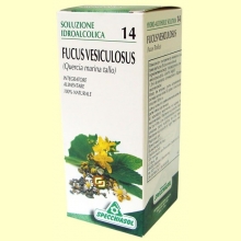 Fucus Solución Hidroalcohólica - 50 ml - Specchiasol 