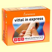 Vittal In Express - Jalea Real Fresca con Guaraná - 20 viales - Plameca
