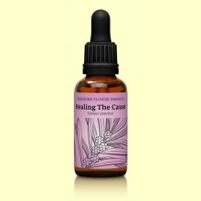 Esencia Floral Findhorn Healing The Cause - 30 ml - Eliminar la Causa