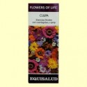 Flowers of Life Culpa - 15 ml - Equisalud
