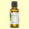 Vetiver - Aceite Esencial - 30 ml - Terpenic Labs