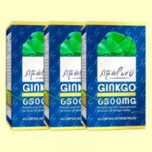 Ginkgo 6500 mg Estado Puro - Pack 3 x 40 cápsulas - Tongil