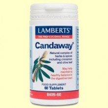 Candaway - Sistema Digestivo - 60 cápsulas - Lamberts