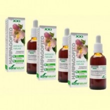 Harpagofito Extracto S XXI - Pack 3 x 50 ml - Soria Natural