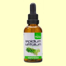 Rompepiedras - Lepidium Latifolium -  Extracto Eco Sin Alcohol - Plantis - 50 ml