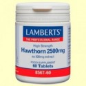 Espino blanco 2.500 mg - 60 tabletas - Lamberts