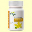 Hipérico - 100 comprimidos - Sotya