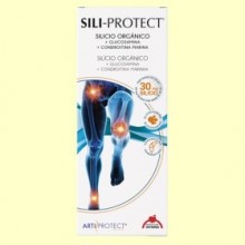 Sili-Protect - 500 ml - Intersa